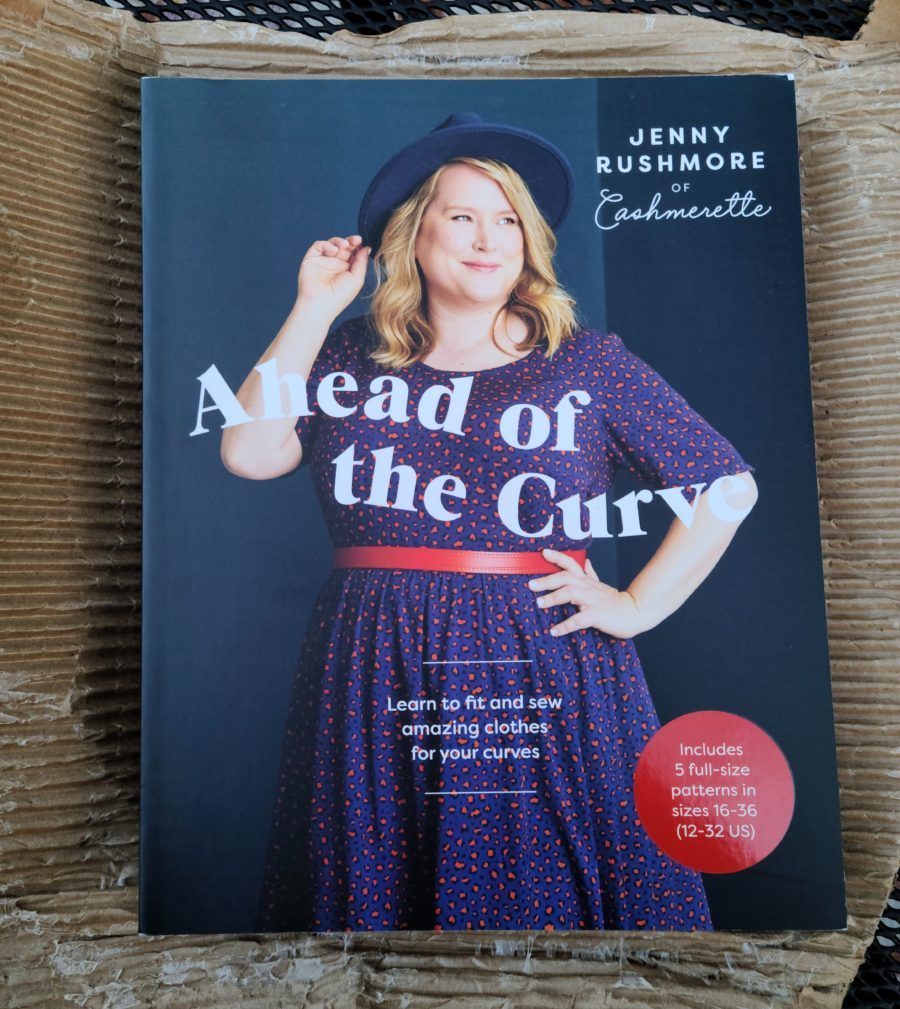 “Ahead of the Curve” by Jenny Rushmore Review